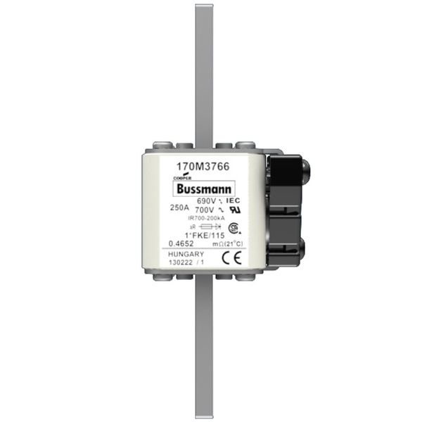 Fuse-link, high speed, 250 A, AC 690 V, compact size 1, 45 x 59 x 148 mm, aR, IEC, UL, single indicator image 1