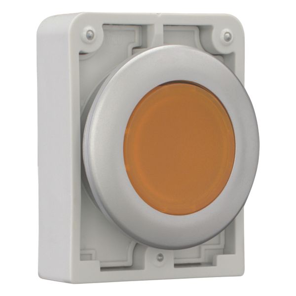 Illuminated pushbutton actuator, RMQ-Titan, Flat, maintained, orange, Blank, Metal bezel image 14