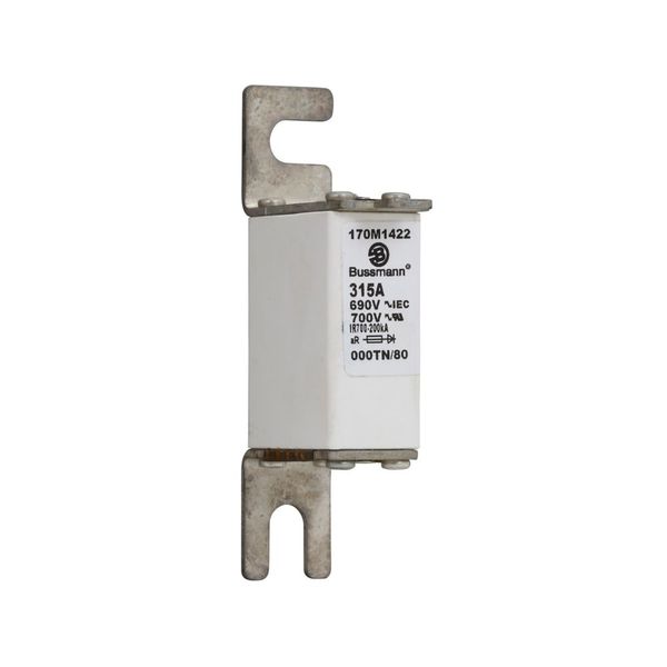 Fuse-link, high speed, 315 A, AC 690 V, DIN 000, aR, DIN, IEC, single indicator, live gripping lugs image 6