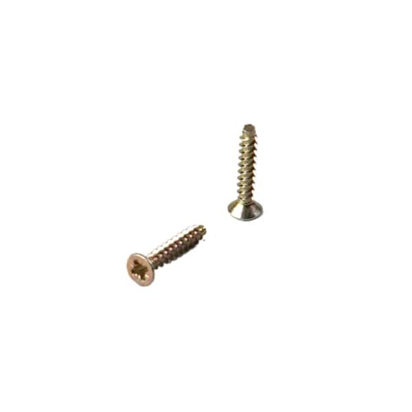 PLP4.100 Screw image 1