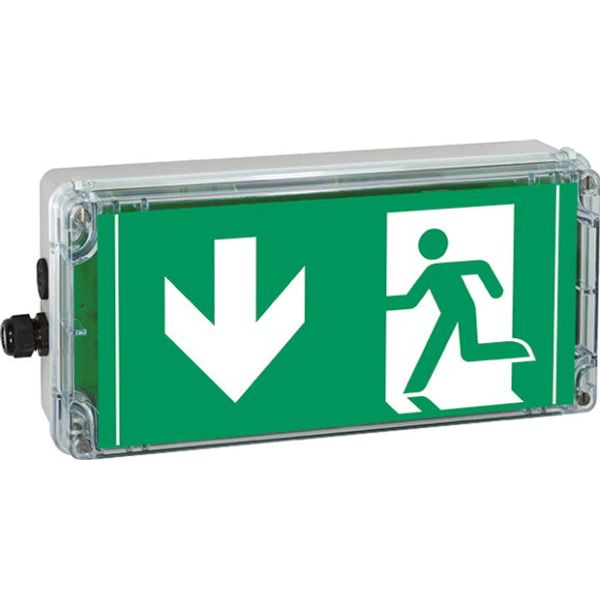 Ex-escape sign luminaires EXIT V-CG-S for emergency light function for zone 1/21, Pictogram: DIN ISO 7010, Arrow: 6 Clock image 6