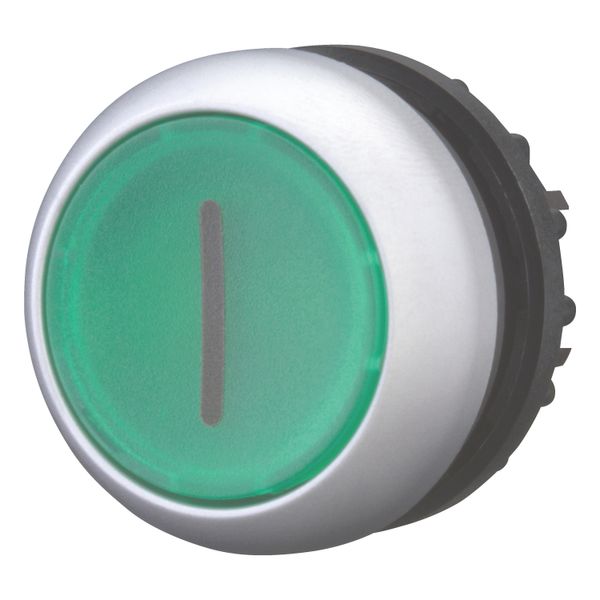 Illuminated pushbutton actuator, RMQ-Titan, Flush, maintained, green, inscribed, Bezel: titanium image 9