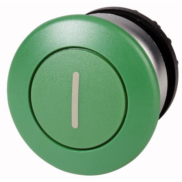 Mushroom actuator, RMQ-Titan, Mushroom, maintained, Mushroom green, green, inscribed, Bezel: titanium image 1