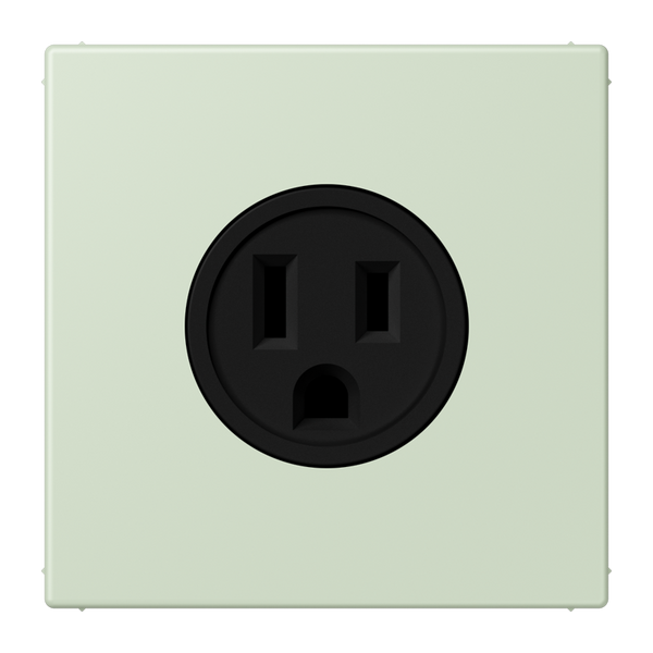 Socket US NEMA system LC32042 LC521-15218 image 1