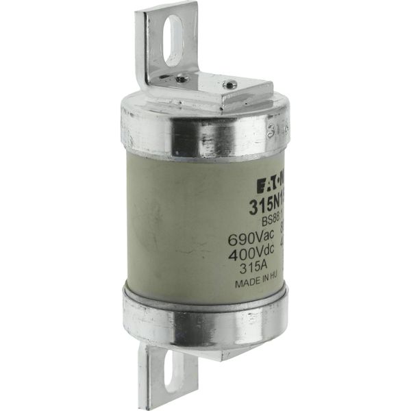 Fuse-link, low voltage, 315 A, AC 660 V, BS88, 49 x 120 mm, gL/gG, BS image 10