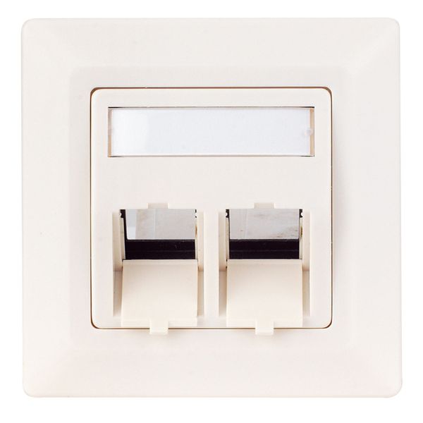 Outlet empty 2 modules(SFA)(SFB), 80x80mm, angled, RAL9010 image 1