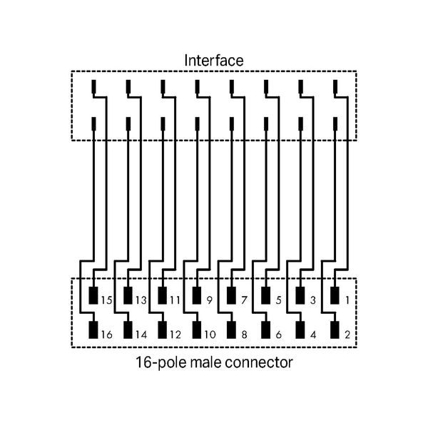 Interface adapter 16-pole analog image 3