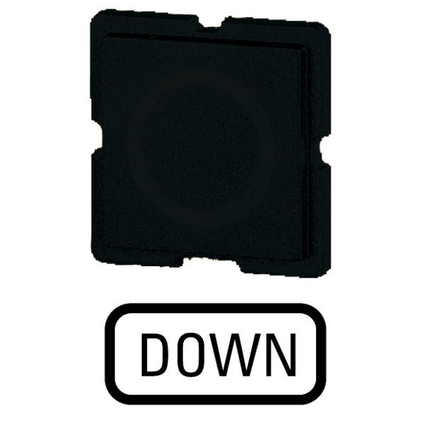 Button plate for push-button, Inscription: DOWN, 25 x 25 image 1