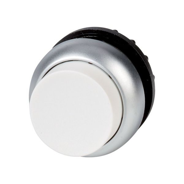 Pushbutton, RMQ-Titan, Extended, momentary, White, Blank, Bezel: titanium image 3