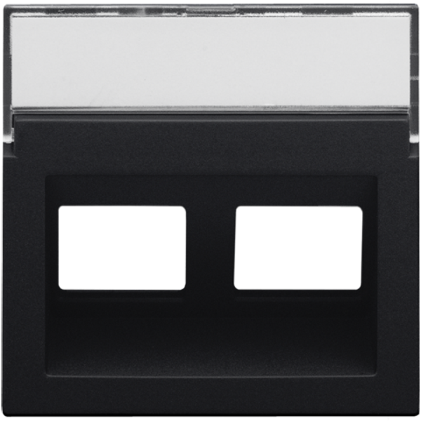 Central plate data 2x RJ oblique output, black coated image 1