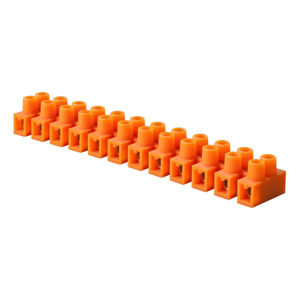 TERMINAL STRIP LZ12 - 6 mm² (selfestinguishing PA6) image 2