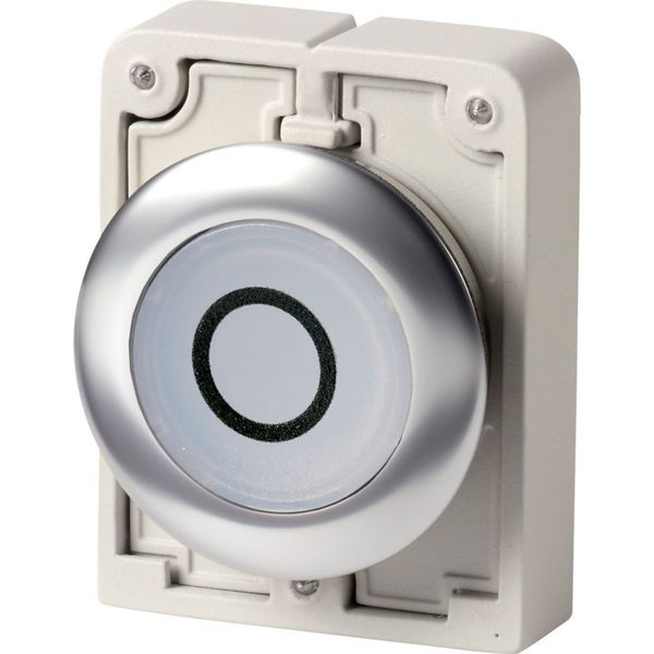 Illuminated pushbutton actuator, RMQ-Titan, flat, maintained, White, inscribed 0, Front ring stainless steel image 4