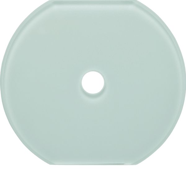 Glass cover centre plate for rot. switch/spring-return push-button image 2