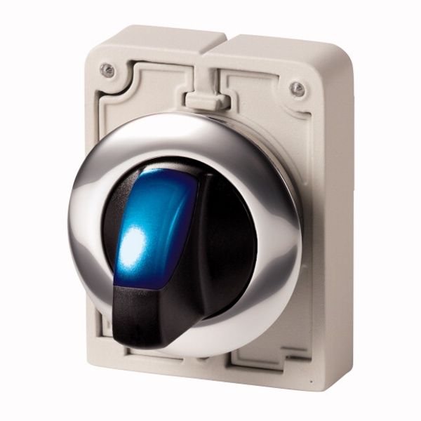 Illuminated selector switch actuator, RMQ-Titan, With thumb-grip, momentary, 2 positions, Blue, Metal bezel image 1