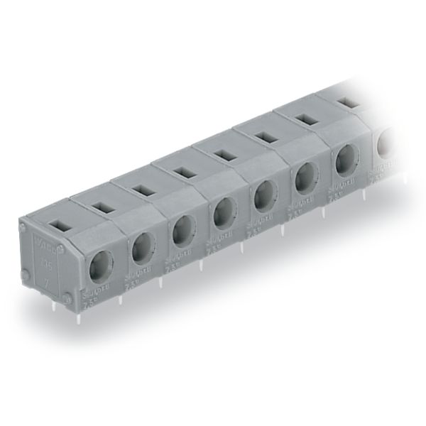 PCB terminal block 2.5 mm² Pin spacing 7.5/7.62 mm gray image 5