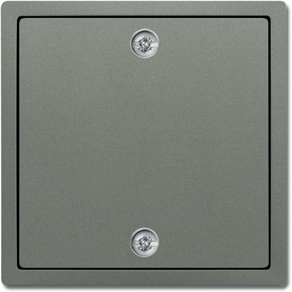 1796-803 CoverPlates (partly incl. Insert) Busch-axcent®, solo® grey metallic image 1