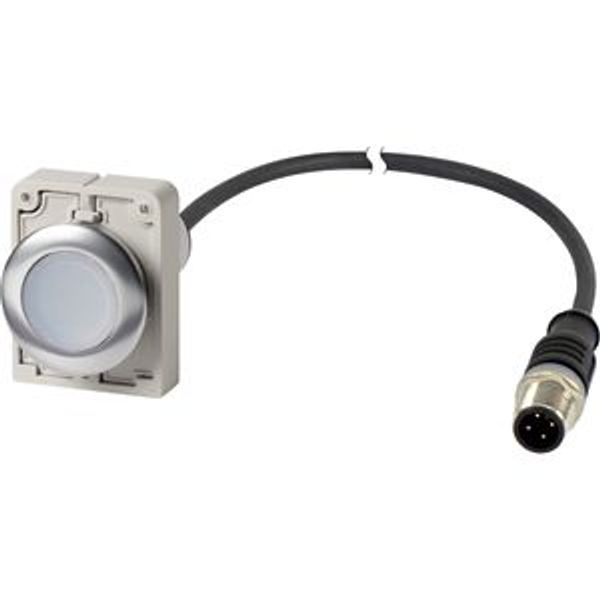 Illuminated pushbutton actuator, Flat, momentary, 1 N/O, Cable (black) with M12A plug, 4 pole, 1 m, LED white, White, Blank, 24 V AC/DC, Metal bezel image 2