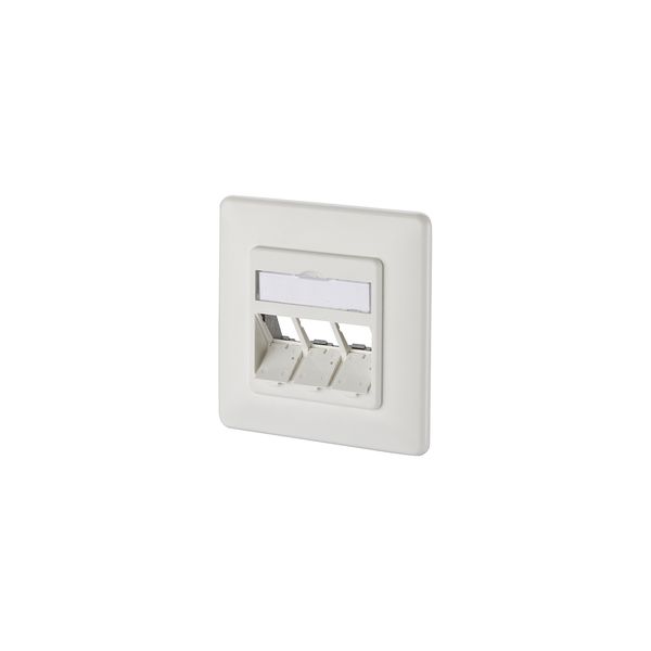 Modul wall outlet flush mounted 3 port unequipped pure white image 1