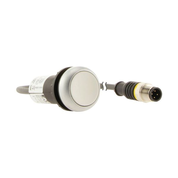 Pushbutton, Flat, momentary, 1 N/O, Cable (black) with M12A plug, 4 pole, 1 m, White, Blank, Bezel: titanium image 14