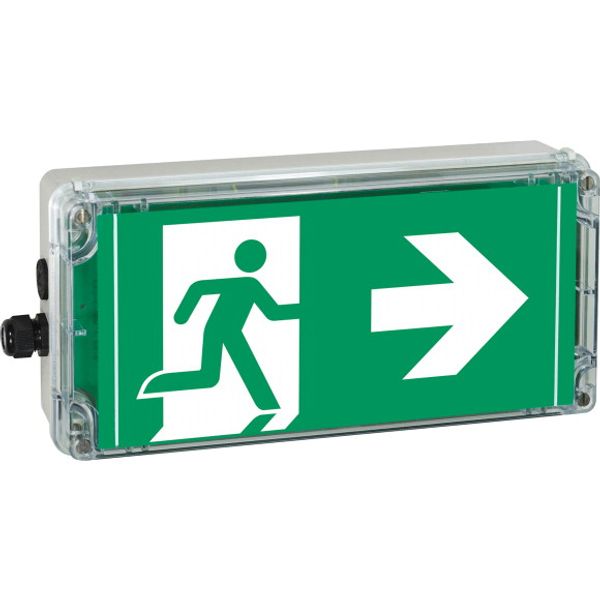 Ex-escape sign luminaires EXIT 2 V-CG-S for zone 2/22, Pictogram: DIN ISO 7010, Arrow: 9 Clock image 4