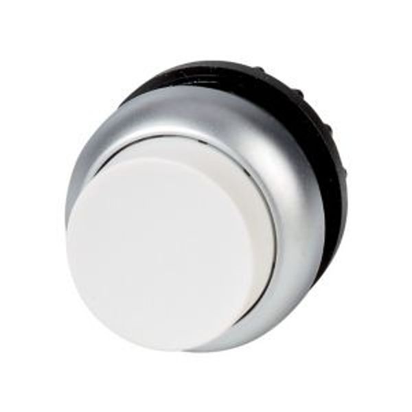 Pushbutton, RMQ-Titan, Extended, momentary, White, Blank, Bezel: titanium image 4