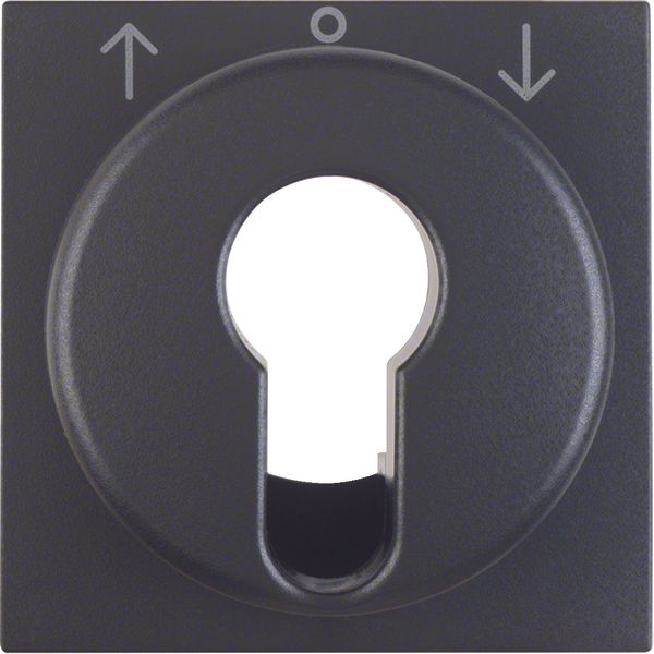 Centre plate for key push-button for blinds/key switch, B.3/B.7, ant., image 1