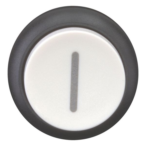 Pushbutton, RMQ-Titan, Extended, momentary, White, inscribed, Bezel: black image 9