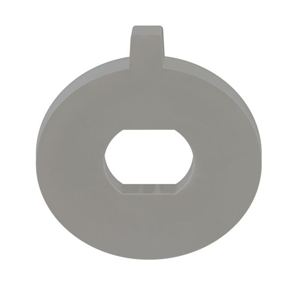 GREY RING image 1