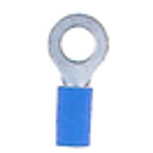 Insulated ring connector terminal M5 blue, 1.5-2.5mmý image 2