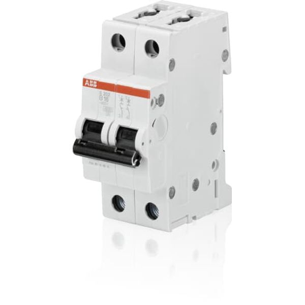 S202-B1 Miniature Circuit Breaker - 2P - B - 1 A image 1