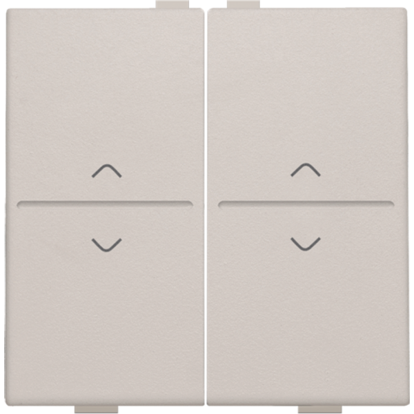 Double key with 'up' and 'down' arrows for wireless switch or push but image 1