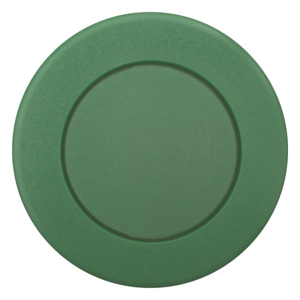 Mushroom actuator, RMQ-Titan, Mushroom, momentary, Mushroom green, green, Blank, Bezel: black image 4