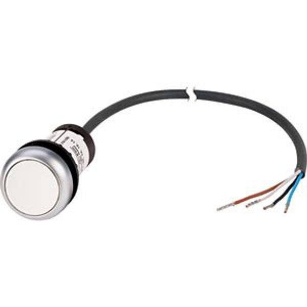 Pushbutton, Flat, momentary, 1 N/O, Cable (black) with non-terminated end, 4 pole, 3.5 m, White, Blank, Bezel: titanium image 4