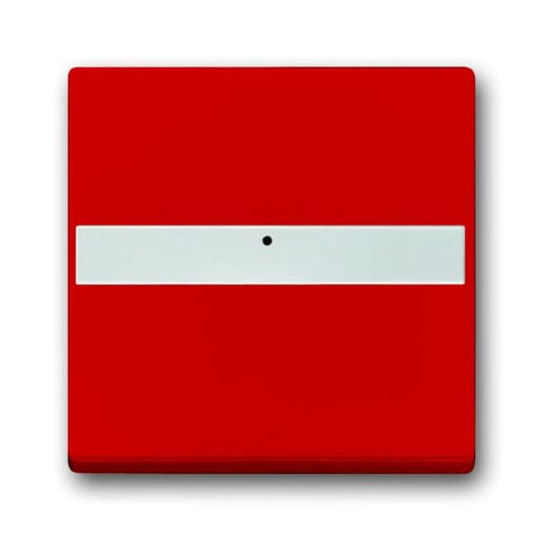 1764 NLI-12-82-101 CoverPlates (partly incl. Insert) future®, Busch-axcent®, solo®; carat®; Busch-dynasty® Red image 2