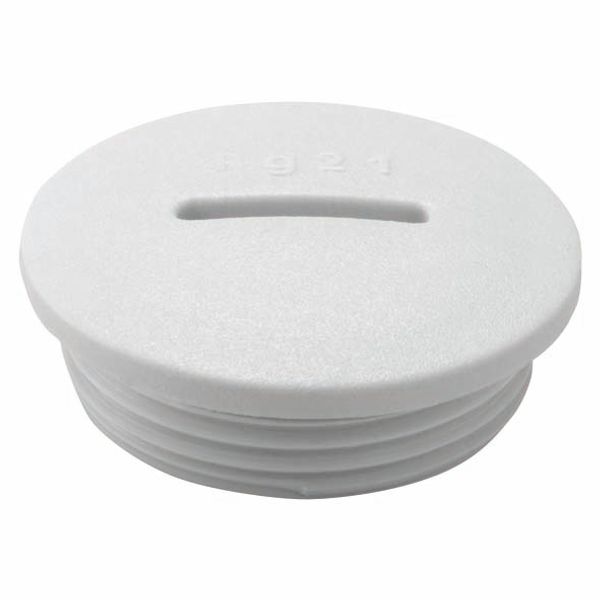 CLOSURE CAP - NYLON - M63 PITCH - GREY RAL 7035 - IP65 image 2