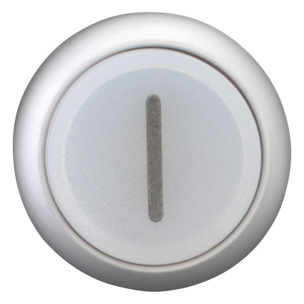 Illuminated pushbutton actuator, RMQ-Titan, Extended, momentary, White, inscribed 1, Bezel: titanium image 7