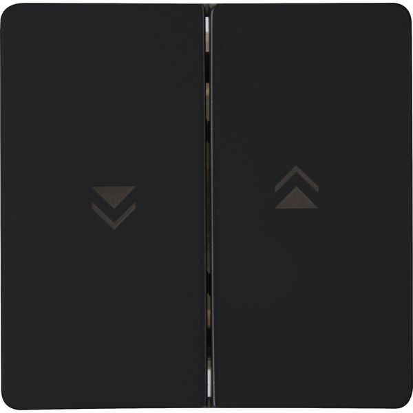 Double Rocker pad with arrows mb image 1