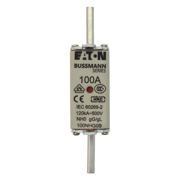 Fuse-link, LV, 100 A, AC 500 V, NH0, gL/gG, IEC, dual indicator, live gripping lugs image 13
