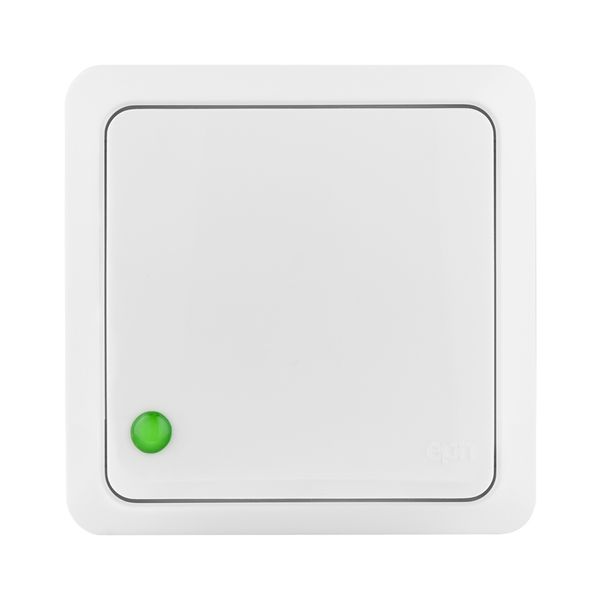 BERG PUSH "LIGHT" SWITCH image 5