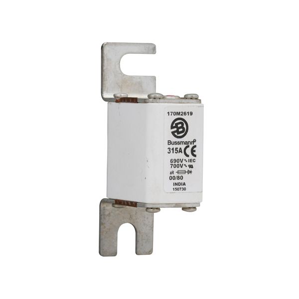 Fuse-link, high speed, 315 A, AC 690 V, DIN 00, 30 x 51 x 100 mm, aR, DIN, IEC, single indicator image 4