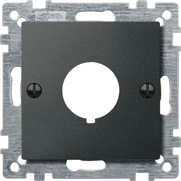 Central plate for command devices, anthracite, System M image 2