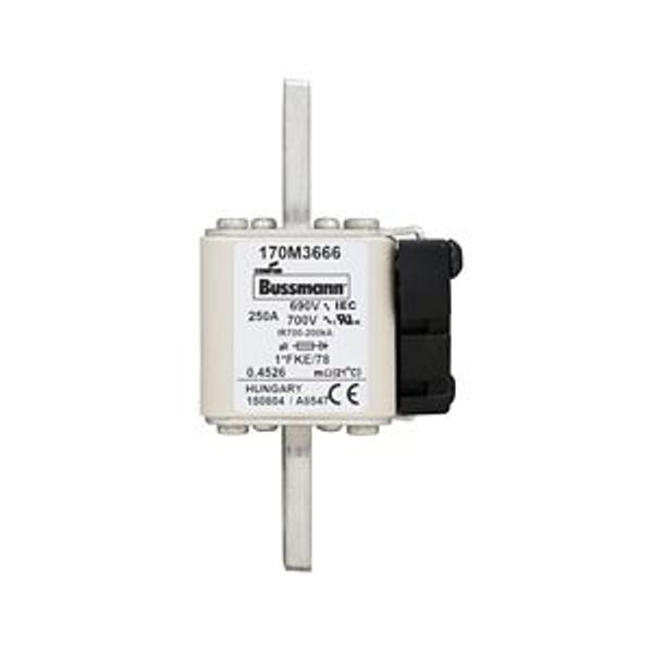 Fuse-link, high speed, 250 A, AC 690 V, compact size 1, 45 x 59 x 110 mm, aR, IEC, UL image 3