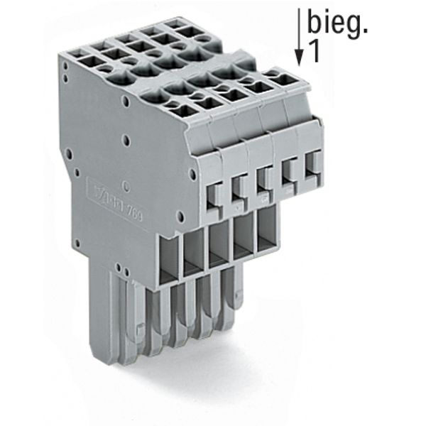 2-conductor female connector CAGE CLAMP® 4 mm² gray image 5