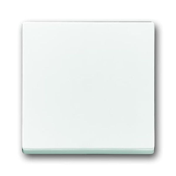 1786-84 CoverPlates (partly incl. Insert) future®, Busch-axcent®, solo®; carat® Studio white image 2