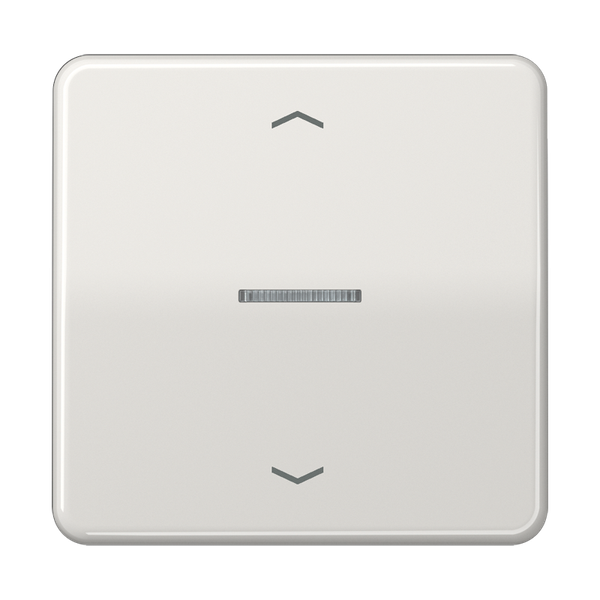 Centre plate for motor control inserts FMCD5232LG image 2