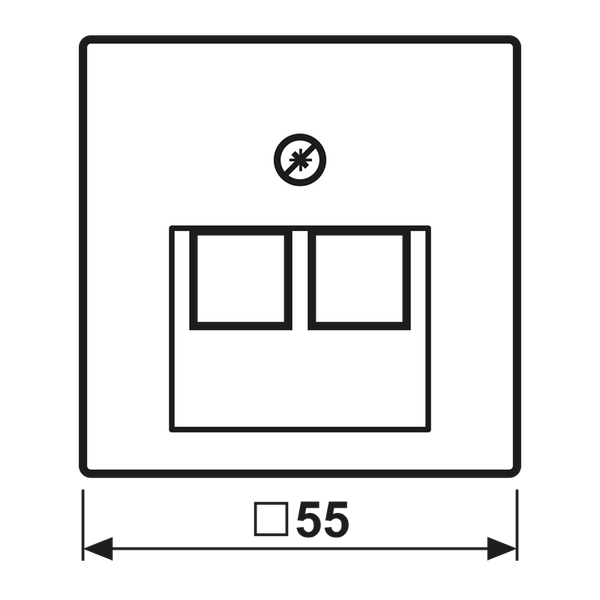 Centre plate for modular jack socket A569-2BFPLUA image 6