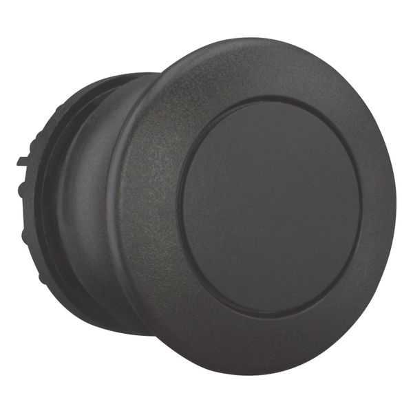 Mushroom actuator, RMQ-Titan, Mushroom, maintained, Mushroom black, black, Blank, Bezel: black image 7