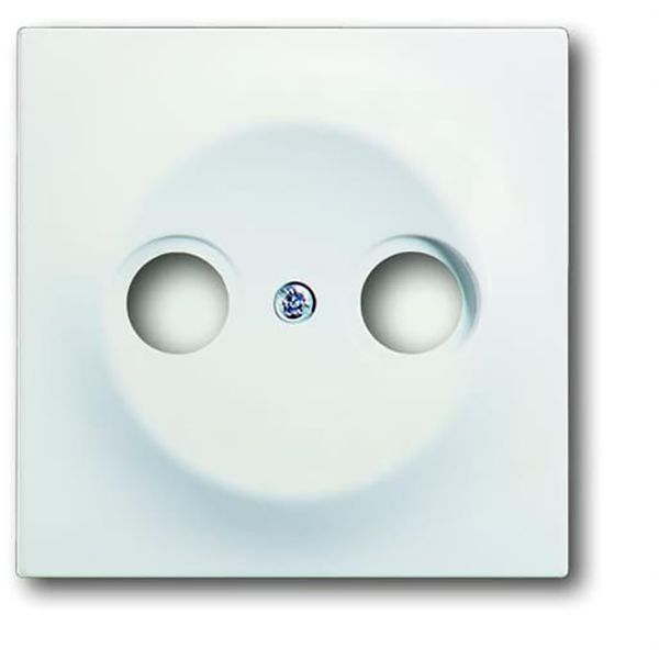 1743-774 CoverPlates (partly incl. Insert) carat® studio white matt image 1