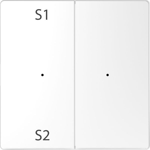 Rockers for button module 2-fold (Scene 1/2, blank), lotus white, system design image 1