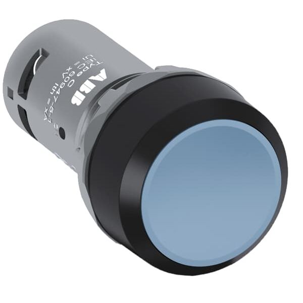 CP1-10W-01 Pushbutton image 1